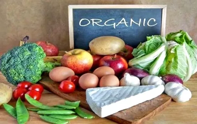 Melacak Tren Makanan dan Minuman dari Masa ke Masa_trends.co.id