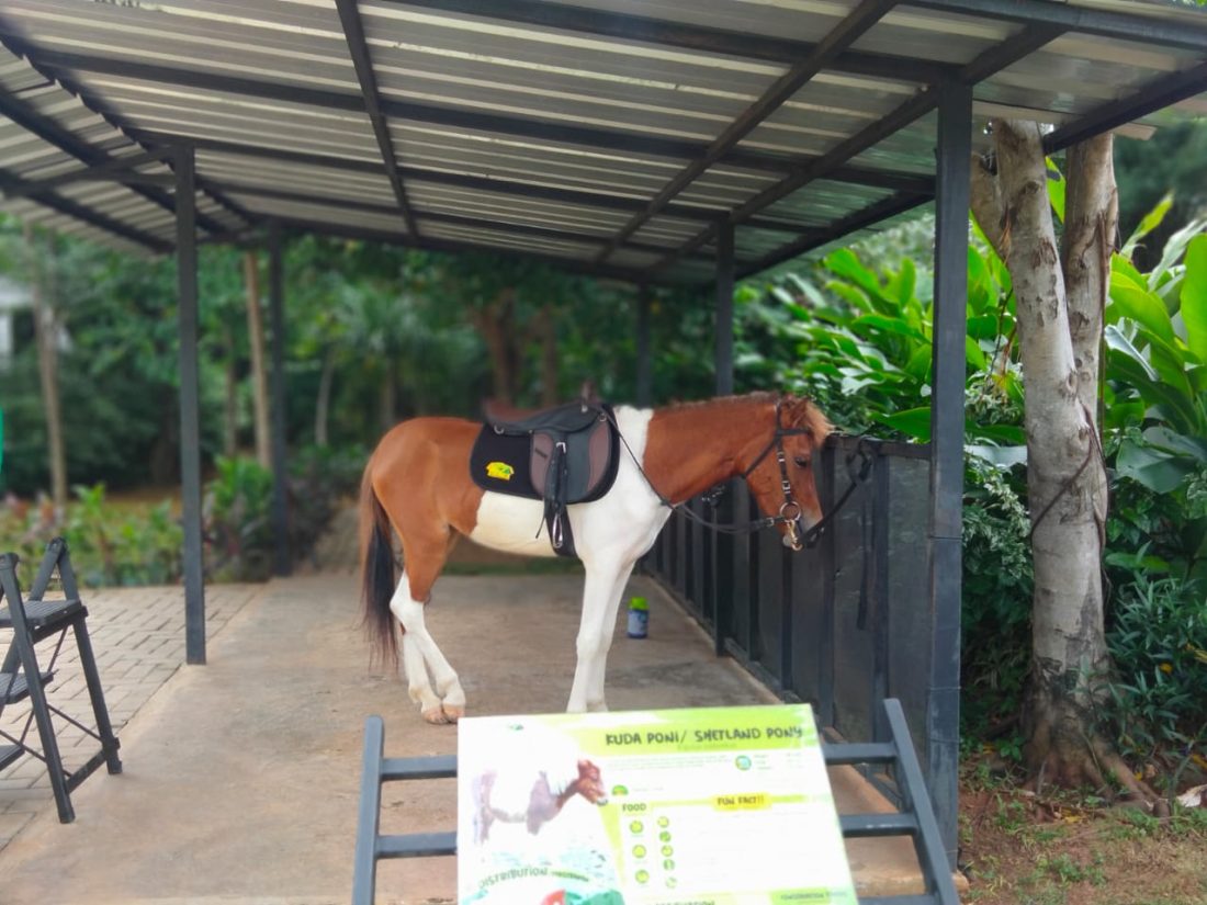5 Ekosistem Unik di Aviary Park Indonesia: Jelajah Dunia dalam Satu Tempat_Trends.co.id