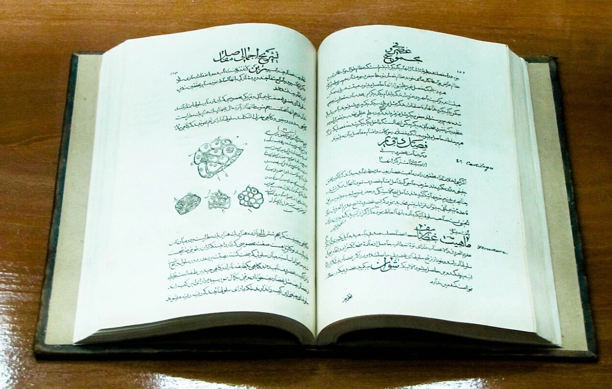 ilmuwan-islam-ibnu-sina-avicenna-filsuf-dokter-canon-of-medicine_trends.co.id