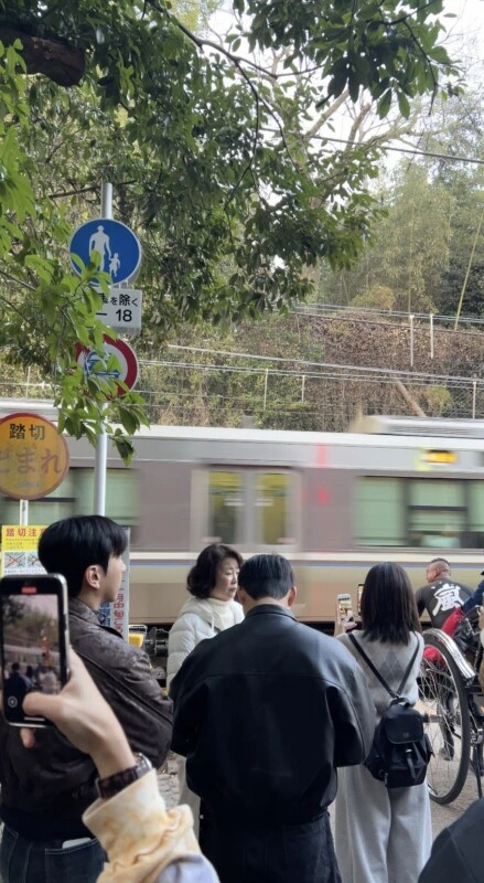 Kyoto Winter Journey 2026: Pengalaman Dingin yang Justru Bikin Hati Hangat /Foto: Istimewa Trends.co.id