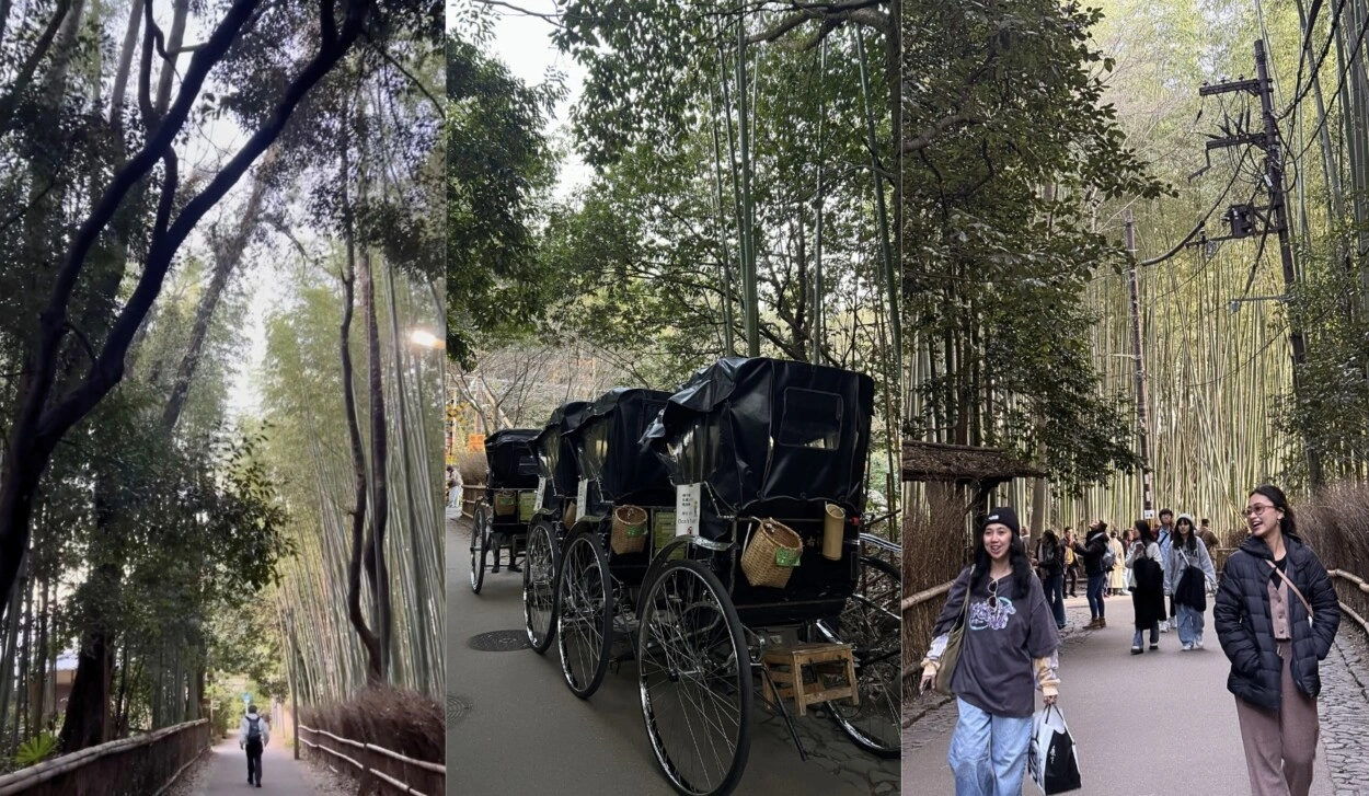 Kyoto Winter Journey 2026: Pengalaman Dingin yang Justru Bikin Hati Hangat /Foto: Istimewa Trends.co.id